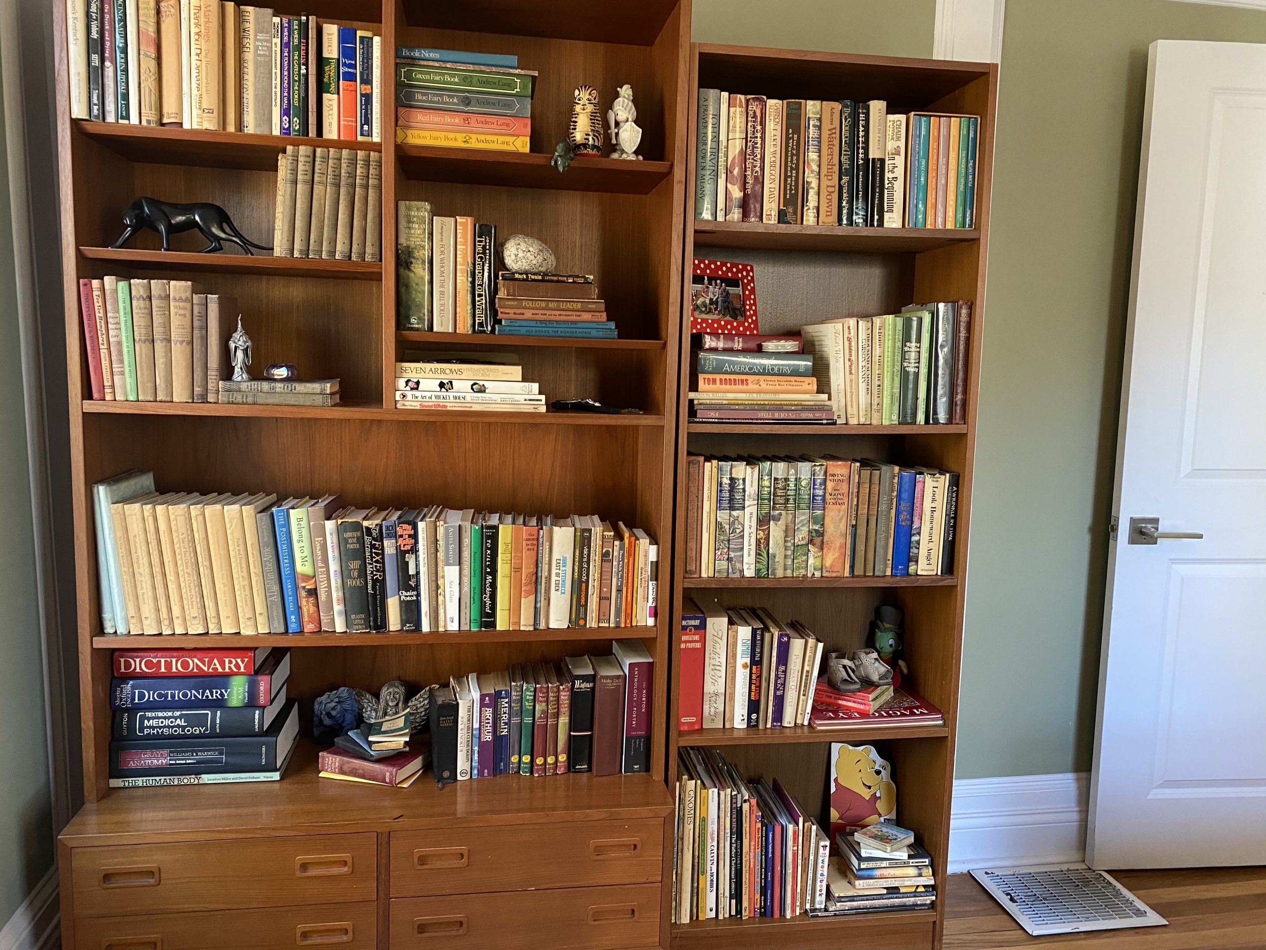 bookcase organization